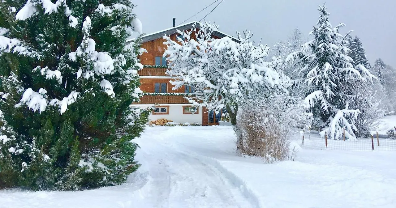 Appartement Studio Romand Proche Morzine Essert-Romand