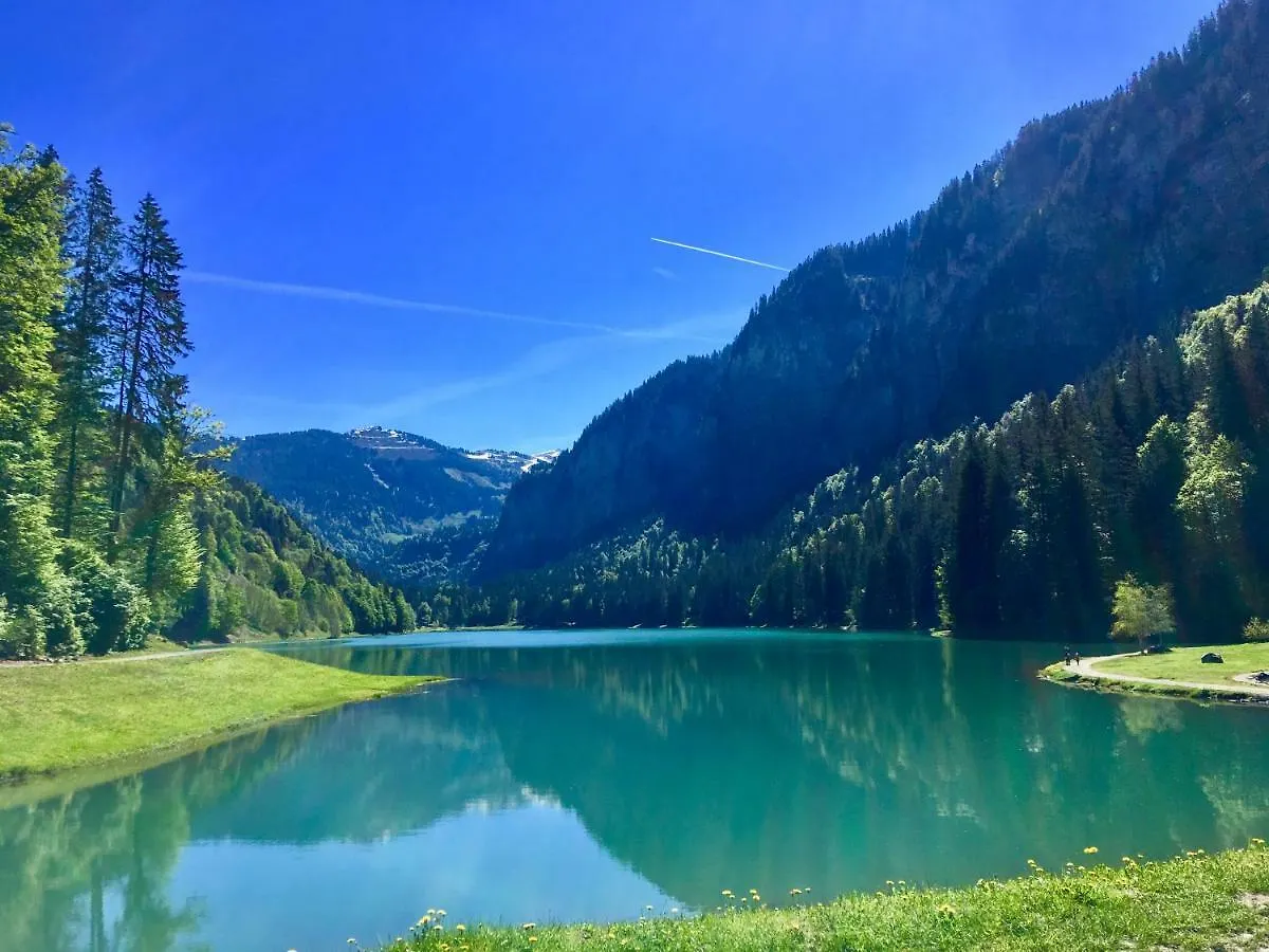 Apartment Studio Romand Proche Morzine Essert-Romand France